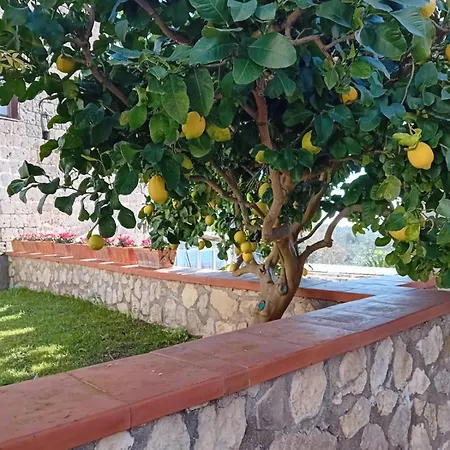 Mira Mila Villa Massa Lubrense Exterior photo