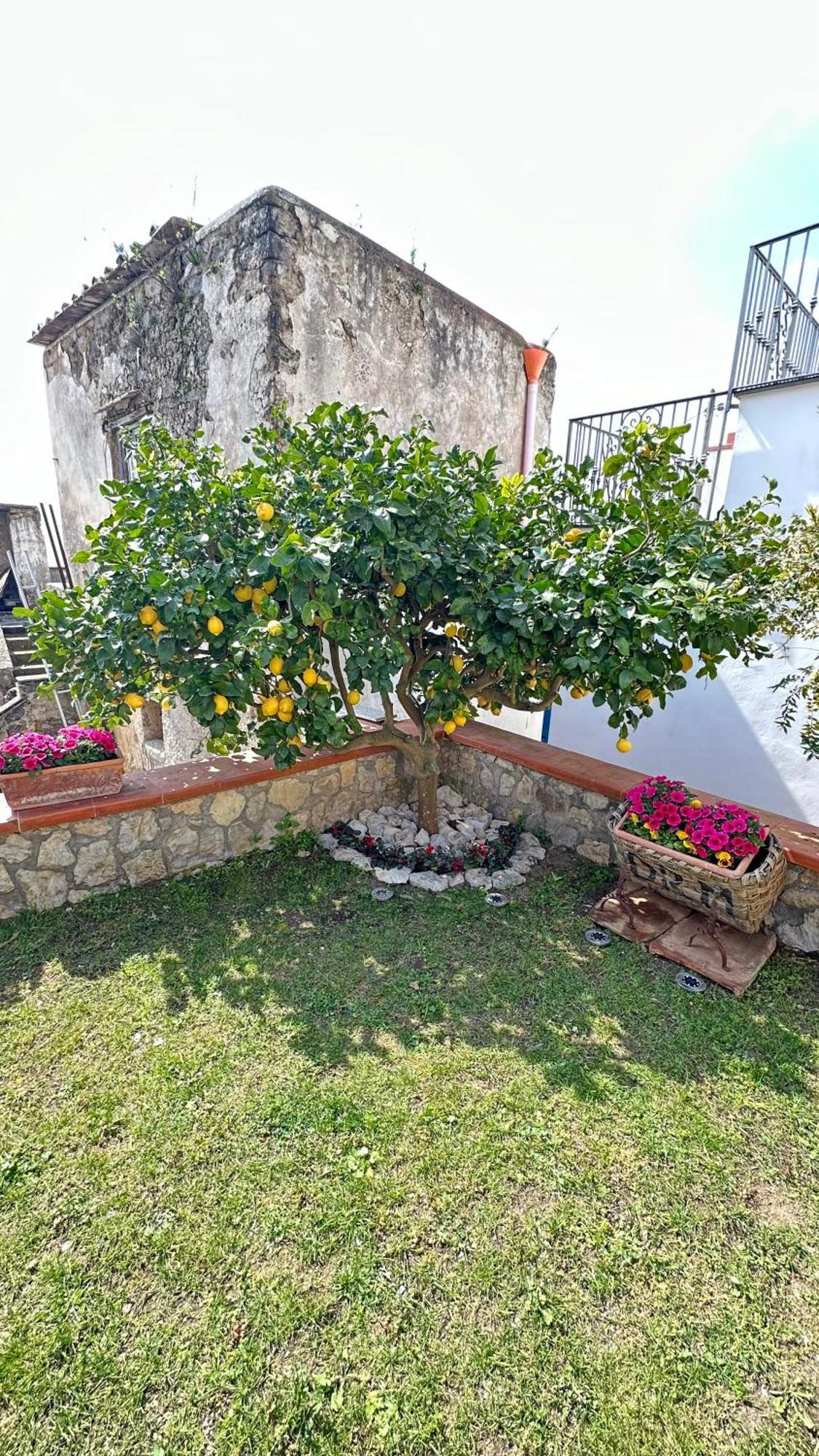 Holiday home Mira Mila