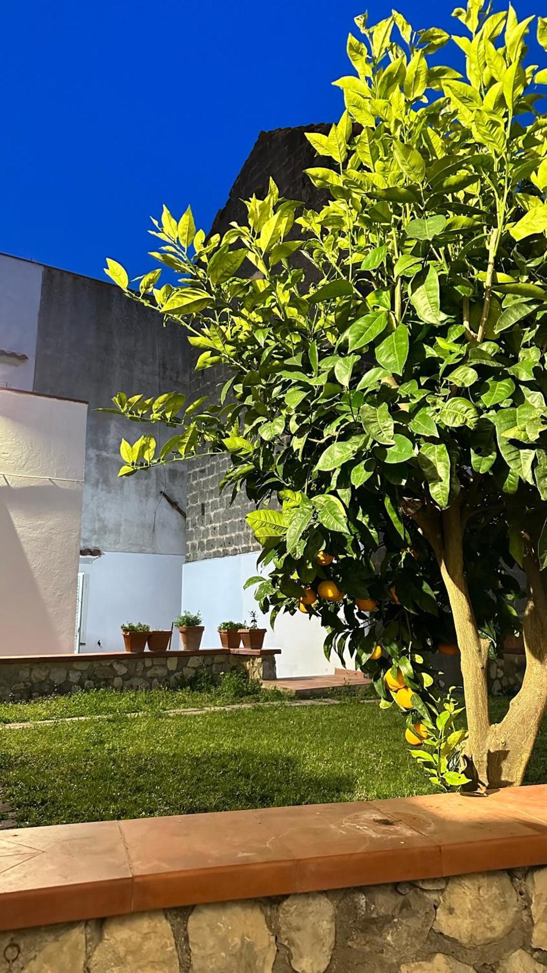Holiday home Mira Mila